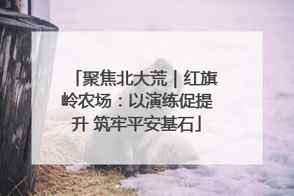聚焦北大荒｜红旗岭农场：以演练促提升 筑牢平安基石