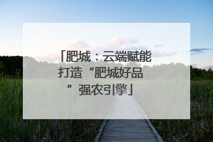 肥城：云端赋能 打造“肥城好品”强农引擎