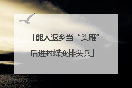 能人返乡当“头雁” 后进村蝶变排头兵
