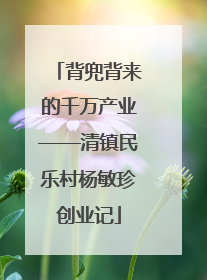 背兜背来的千万产业——清镇民乐村杨敏珍创业记