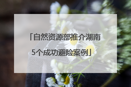 自然资源部推介湖南5个成功避险案例