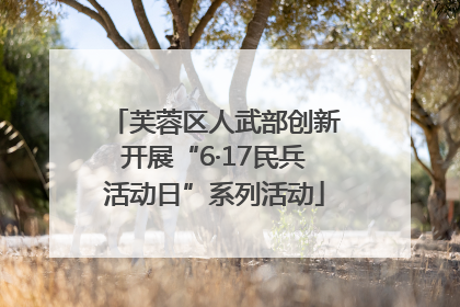 芙蓉区人武部创新开展“6·17民兵活动日”系列活动