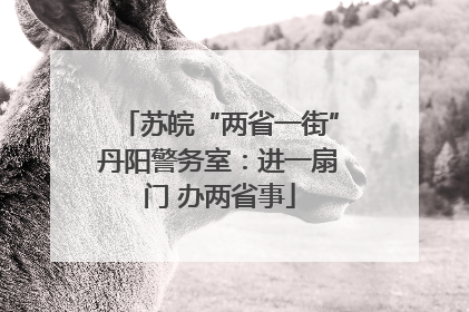 苏皖“两省一街”丹阳警务室：进一扇门 办两省事
