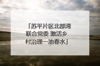 苏平片区北部湾联合党委 激活乡村治理一池春水