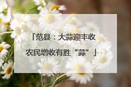 范县：大蒜迎丰收 农民增收有胜“蒜”