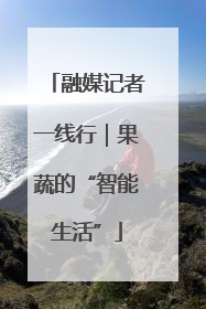 融媒记者一线行｜果蔬的“智能生活”