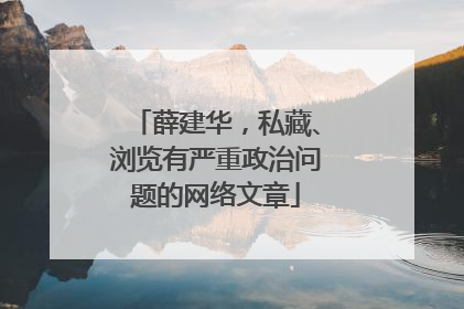 薛建华，私藏、浏览有严重政治问题的网络文章