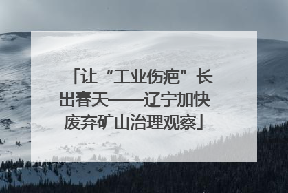 让“工业伤疤”长出春天——辽宁加快废弃矿山治理观察
