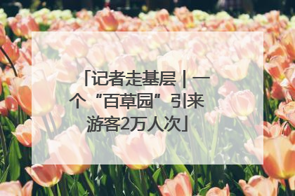 记者走基层｜一个“百草园”引来游客2万人次