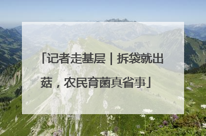 记者走基层｜拆袋就出菇，农民育菌真省事