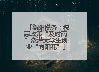 衡阳税务：税惠政策“及时雨”浇灌大学生创业“向阳花”