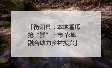 衡阳县：本地香瓜抢“鲜”上市 农旅融合助力乡村振兴