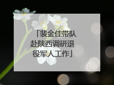 裴金佳带队赴陕西调研退役军人工作