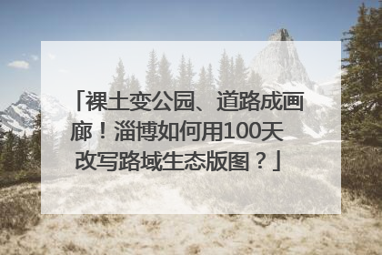 裸土变公园、道路成画廊！淄博如何用100天改写路域生态版图？