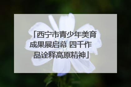 西宁市青少年美育成果展启幕 四千作品诠释高原精神