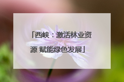西峡：激活林业资源 赋能绿色发展
