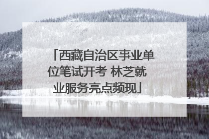 西藏自治区事业单位笔试开考 林芝就业服务亮点频现