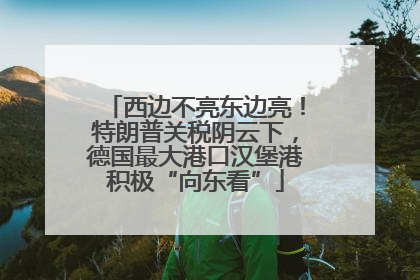 西边不亮东边亮！特朗普关税阴云下，德国最大港口汉堡港积极“向东看”