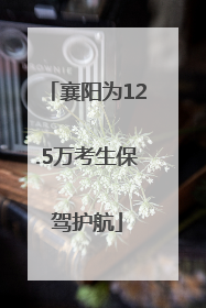 襄阳为12.5万考生保驾护航