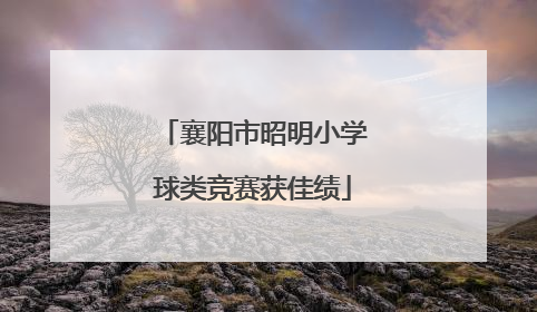 襄阳市昭明小学球类竞赛获佳绩