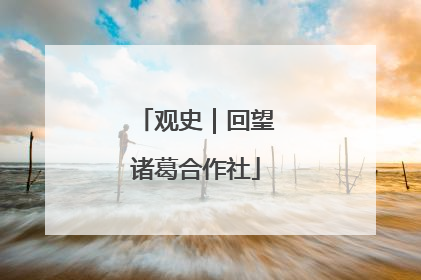 观史｜回望诸葛合作社