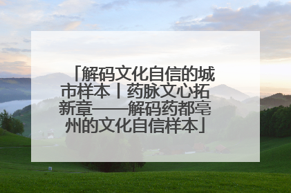 解码文化自信的城市样本丨药脉文心拓新章——解码药都亳州的文化自信样本