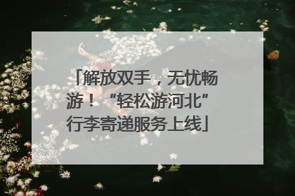 解放双手，无忧畅游！“轻松游河北”行李寄递服务上线