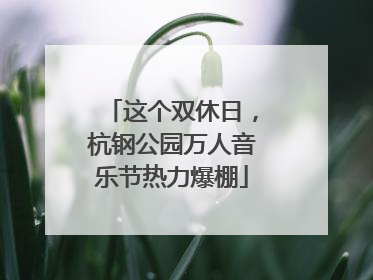 这个双休日，杭钢公园万人音乐节热力爆棚