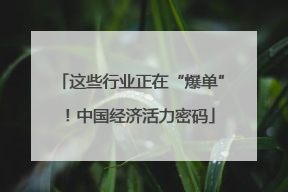 这些行业正在“爆单”！中国经济活力密码