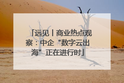 远见丨商业热点观察：中企“数字云出海”正在进行时