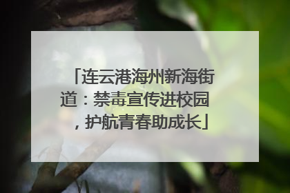 连云港海州新海街道：禁毒宣传进校园，护航青春助成长