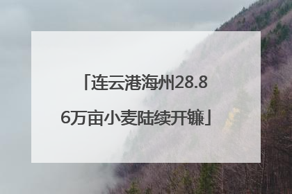 连云港海州28.86万亩小麦陆续开镰
