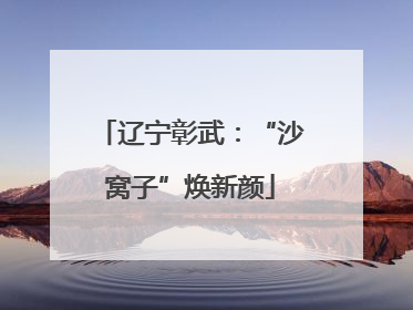 辽宁彰武：“沙窝子”焕新颜