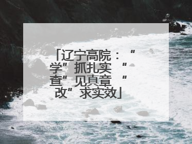 辽宁高院：“学”抓扎实 “查”见真章 “改”求实效