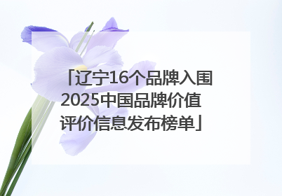 辽宁16个品牌入围2025中国品牌价值评价信息发布榜单
