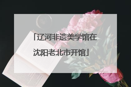 辽河非遗美学馆在沈阳老北市开馆