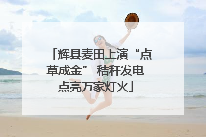 辉县麦田上演“点草成金” 秸秆发电点亮万家灯火
