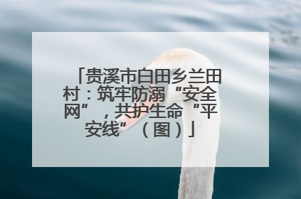 贵溪市白田乡兰田村：筑牢防溺“安全网”，共护生命“平安线”（图）