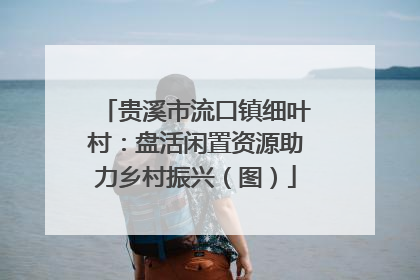 贵溪市流口镇细叶村：盘活闲置资源助力乡村振兴（图）