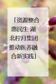 资源整合惠民生 湖北柠月集团推动医养融合新实践