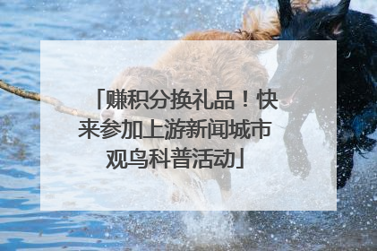 赚积分换礼品！快来参加上游新闻城市观鸟科普活动