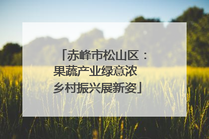 赤峰市松山区：果蔬产业绿意浓 乡村振兴展新姿