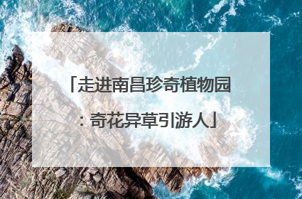 走进南昌珍奇植物园：奇花异草引游人