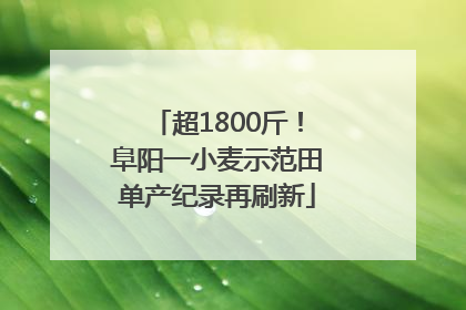超1800斤！阜阳一小麦示范田单产纪录再刷新