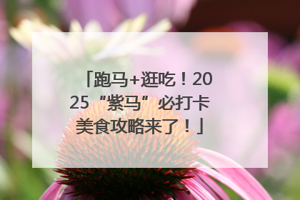 跑马+逛吃！2025“紫马”必打卡美食攻略来了！