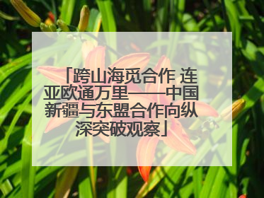 跨山海觅合作 连亚欧通万里——中国新疆与东盟合作向纵深突破观察