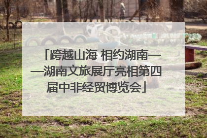 跨越山海 相约湖南——湖南文旅展厅亮相第四届中非经贸博览会