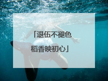 退伍不褪色 稻香映初心
