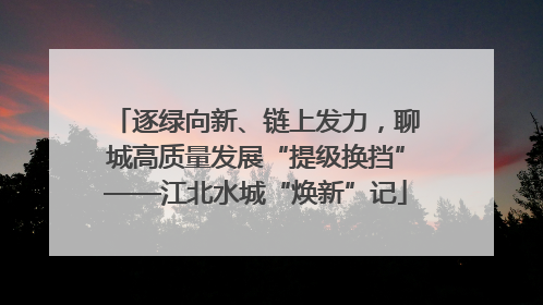 逐绿向新、链上发力，聊城高质量发展“提级换挡”——江北水城“焕新”记
