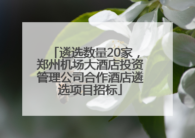 遴选数量20家，郑州机场大酒店投资管理公司合作酒店遴选项目招标